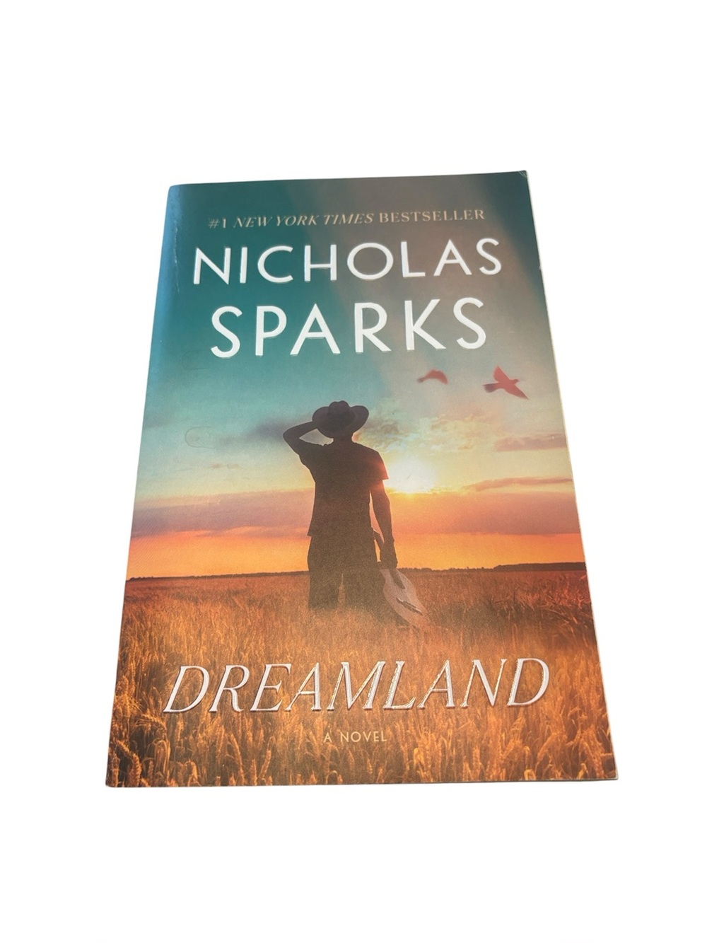 Dreamland Book by Nicholas Sparks
